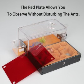Rimsunta Ant Nest Formicarium for Live Ants and Queen - Extra-Large Clear Habitat for Adults