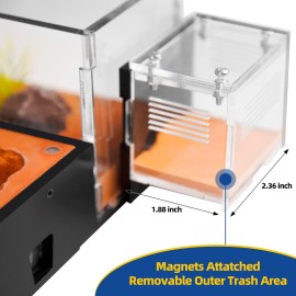 Rimsunta Ant Nest Formicarium for Live Ants and Queen - Extra-Large Clear Habitat for Adults