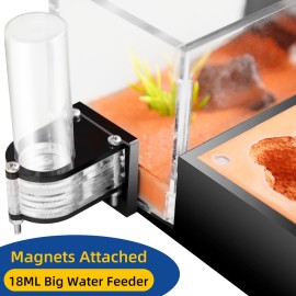 Rimsunta Ant Nest Formicarium for Live Ants and Queen - Extra-Large Clear Habitat for Adults