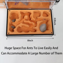 Rimsunta Ant Nest Formicarium for Live Ants and Queen - Extra-Large Clear Habitat for Adults