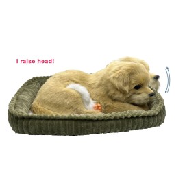 PawFection Pets Golden Retriever Dog, Realistic, Lifelike Stuffed Interactive Nodding Pet Toy, Companion Pet Puppy with 100% Handcrafted Synthetic Fur