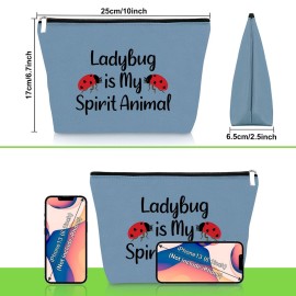 Ladybug Makeup Bag - Gifts for Girls & Women - Inspirational & Funny Ladybug Themed Cosmetic Bag - Perfect for Christmas & Birthday Gifts