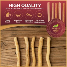 HikmaHerb Pack of 12 Miswak Sticks with 2 Holders - Vacuum Sealed Natural Chewing Sticks for Teeth - Natural Flavored Toothbrush for Teeth Whitening, Oral Health, and Fresh Breath || Pack of 12