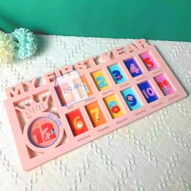 Elfzone My First Year Picture Frame - Baby First Year Photo Frame for Baby 12 Month Picture Frame and Growth Record, Pink