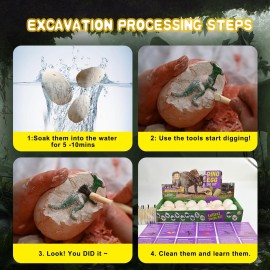 Whiriwhiri Dino Eggs Dig Kit, 12 Unique Fossil Eggs and Discover Dinosaur Excavation Tools Science STEM Digging Toy Gift Present for Boys Girls Age 6-12 Easter Egg Birthday Party, Playdates, Workshops