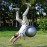 LINGHGD Yoga Ball for Somersault & Backflip Training, Adjustable Straps, Fitness & Yoga Exercises