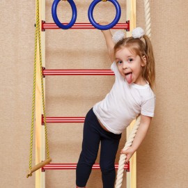 TAYUQEE Monkey Bars for Backyard 16.5in Heavy Duty Metal Monkey Bars for Kids, 8 PCS Playset Monkey Bar Rods with Mounting Plates and Powder Coating for Indoor Outdoor Backyard Playground