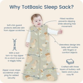 TOTBASIC Sleep Sack 0-6 Months 2-Pack,0.5 TOG Summer Wearable Blanket with 2-Way Safe Zippers,Soft Sleeping Bag for Babies