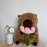 Arkdorz Cute Capybara Plush with Rose,12inch Kawaii Capybara Stuffed Animal Soft Stuffed Capybara Toy Birthday for Kids (Rose Capybara)