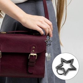 4pcs Star Carabiner, 1.61in & 1.26in Zinc Alloy Cool Cute Star Carabiner Clip Fashionable Pentagram Carabiner Star Shaped Carabiner Keychain for Keys Ring Camping Outdoor Travel(Black, Silver)